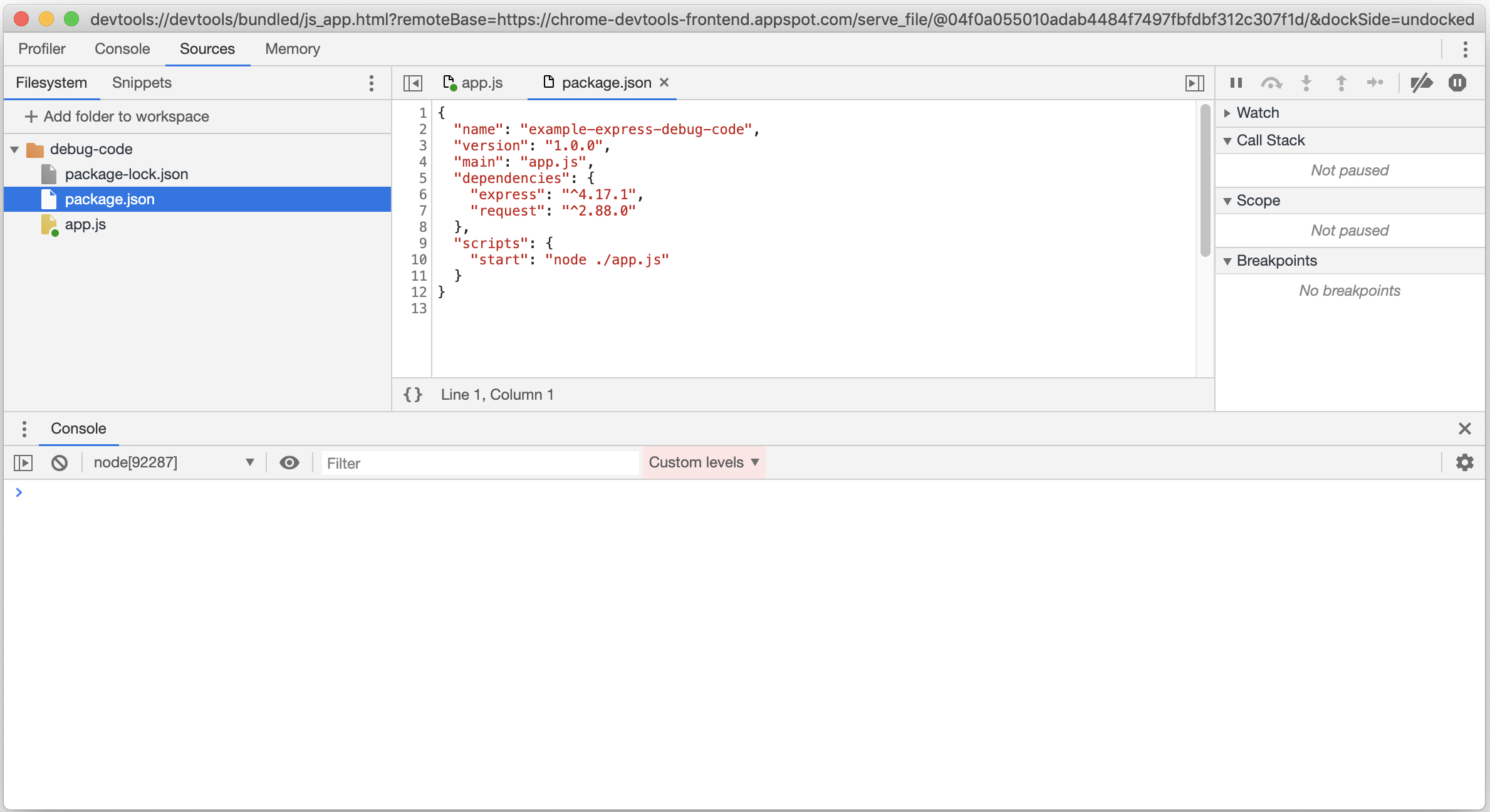 A screenshot of the package json file being edited