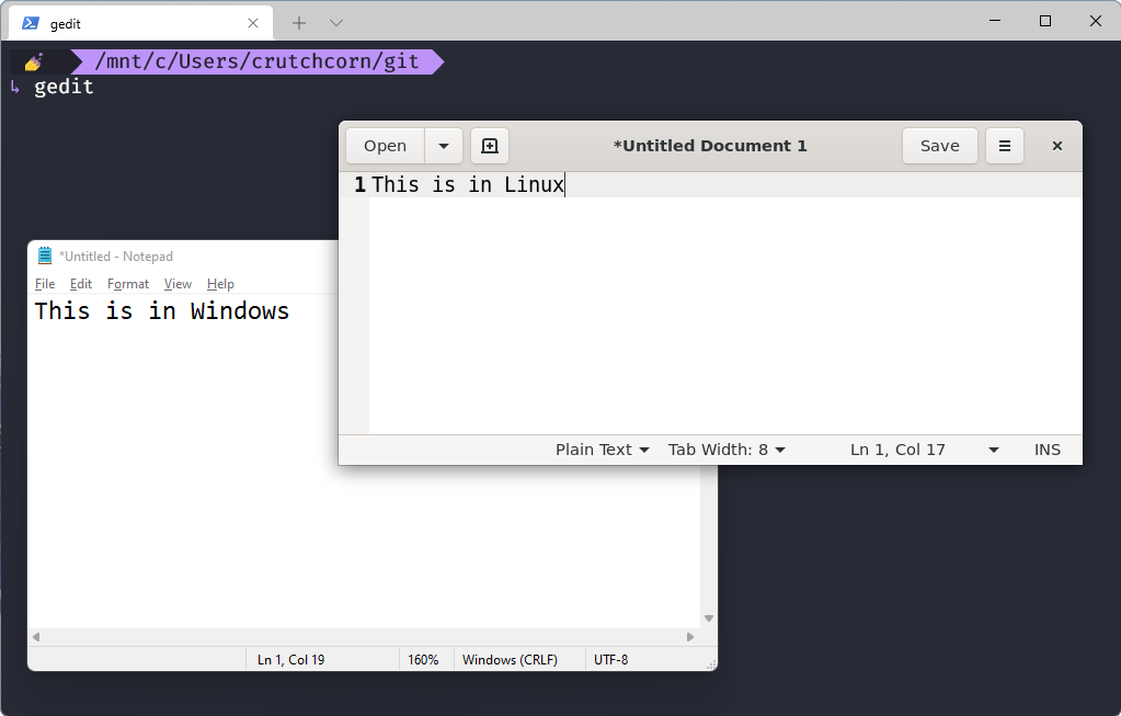 Gedit running alongside Notepad