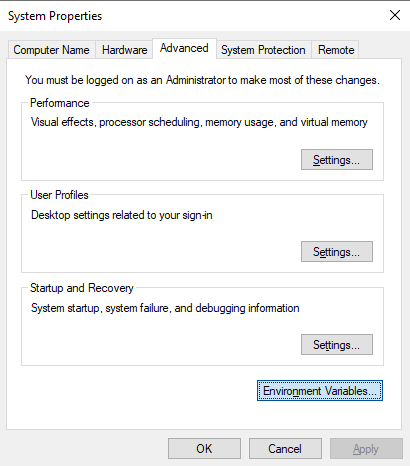 The "Environmental variables" button selected